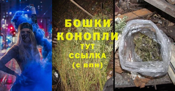 ГАЛЛЮЦИНОГЕННЫЕ ГРИБЫ Алексеевка