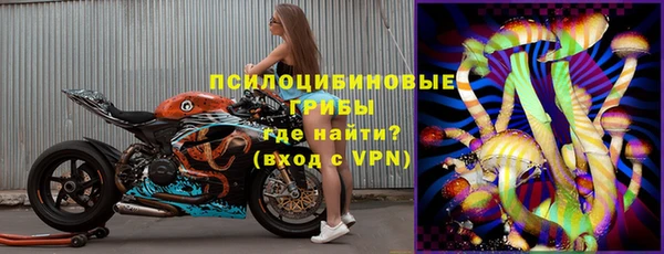 стафф Алексин