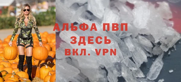 стафф Алексин