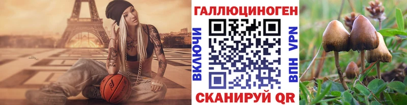 Псилоцибиновые грибы Psilocybine cubensis  Новоаннинский 